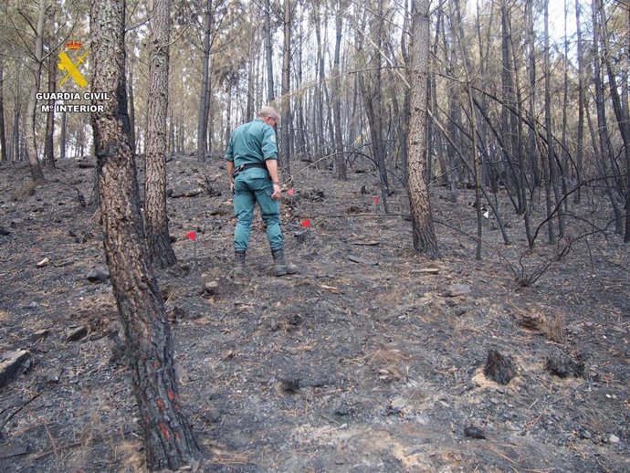 Agente de la Guardia Civil realiza labores de investigación en la zona afectada por el incendio forestal de Pinofranqueado de 2023