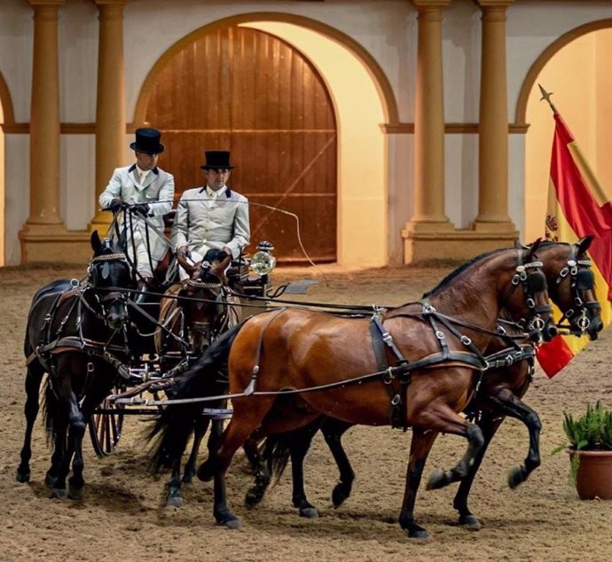 Archivo - Espectáculo 'Cómo bailan los caballos andaluces' de la Real Escuela de Arte Ecuestre de Jerez en una imagen de archivo.