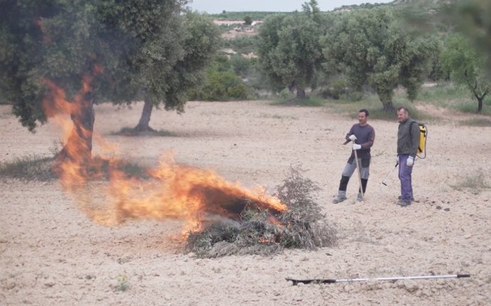 Archivo - Quemas agricolas y forestales.