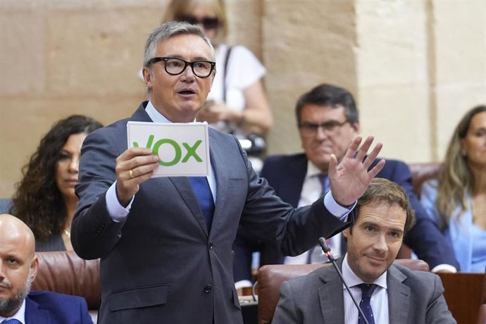 El portavoz del Grupo Parlamentario Vox en Andalucía, Manuel Gavira, y el presidente del grupo, Javier Cortés, en una imagen de archivo en el Pleno.  