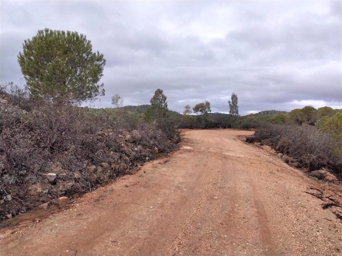 Archivo - Imagen de archivo de un camino forestal