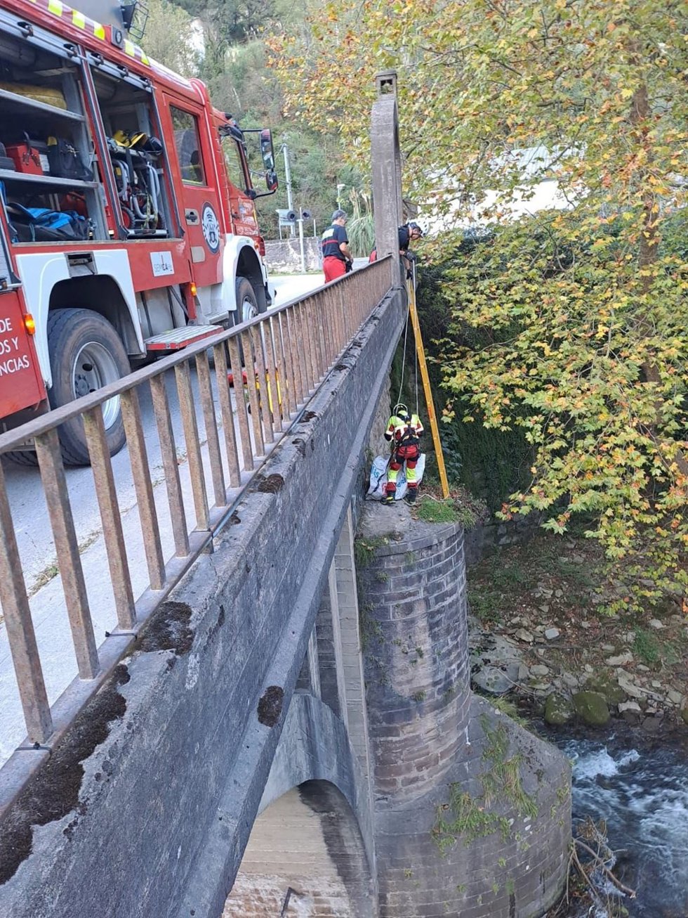 Bomberos rescatan a un perro atrapado en una pilastra del puente de Las Caldas del Besaya