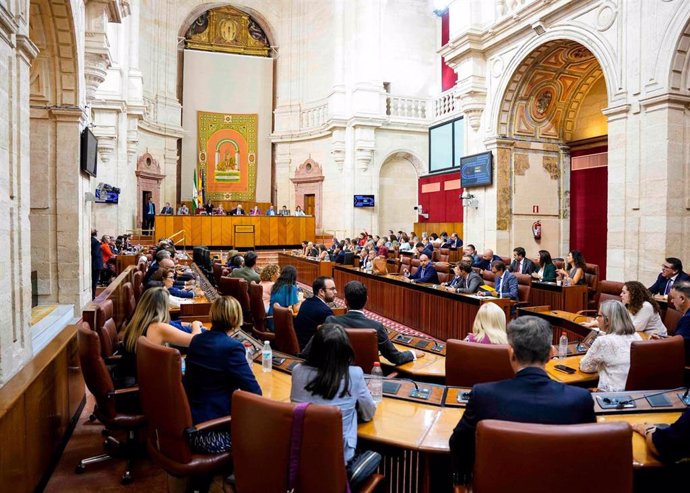 Pleno del Parlamento andaluz. (Foto de archivo).