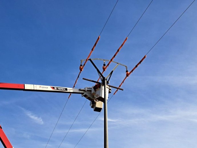 Medio Ambiente colabora en la instalación de crucetas que eviten electrocuciones de aves en Moncada y Bétera