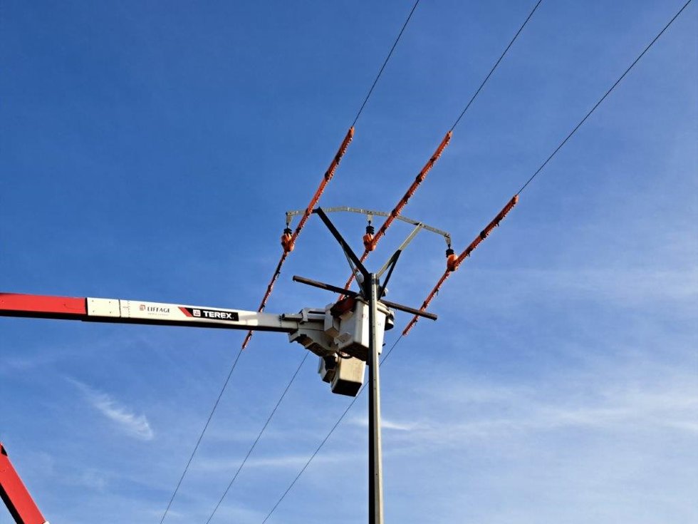 Medio Ambiente colabora en la instalación de crucetas que eviten electrocuciones de aves en Moncada y Bétera