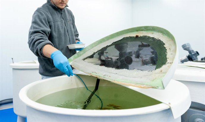 Cursos de formación en acuicultura