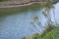 Los embalses del Guadalquivir ganan cerca de 40 hectómetros cúbicos el fin de semana y se sitúan al 30,27%