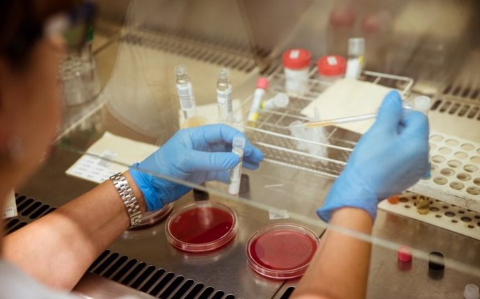 Una investigadora en un laboratorio