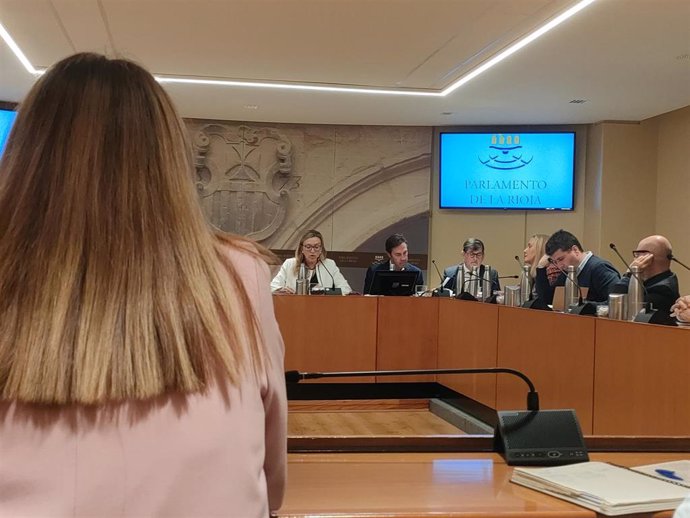 La consejera de Economía, Innovación, Empresa y Trabajo Autónomo, Belinda León, comparece en el Parlamento