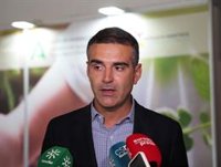 El PP-A apuntala la querella contra el PSOE "en defensa de la verdad y la pulcritud": "Se mintió a la opinión pública"