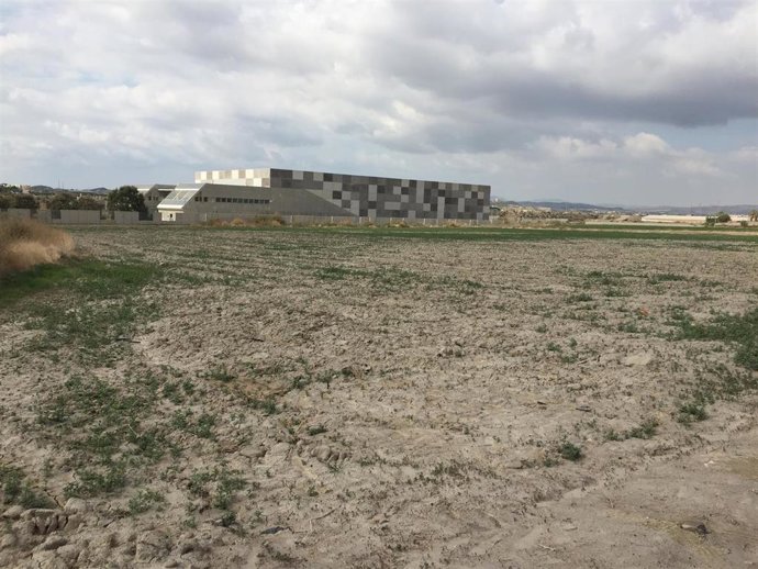 Archivo - Desaladora del Bajo Almanzora, en Almería.