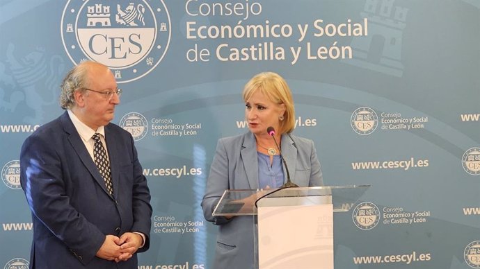 La titular de la Consejería de Industria, Comercio y Empleo, Leticia García, y el presidente del Consejo Económico y Social, Enrique Cabero, durante el encuentro mantenido este lunes.