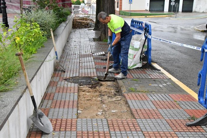 Servicios municipales de Vías y Obras realiazan tareas de restablecimiento del acerado tras las intensas lluvias.
