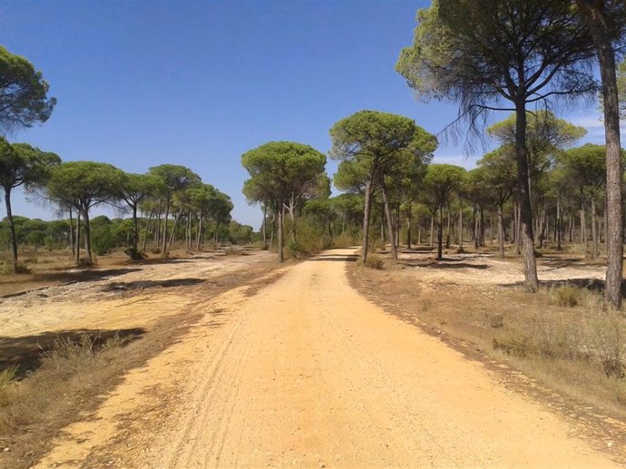 Imagen de recurso de una vía pecuaria.