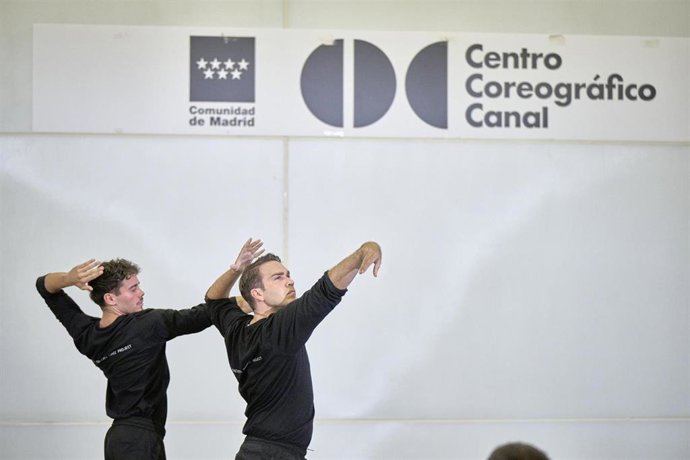 La Consejería de Cultura convocará el próximo día 21 sus residencias artísticas en el Centro Coreográfico Canal
