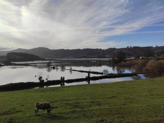 Archivo - Inundación de porreos en la Ría de Villaviciosa en febrero de este año