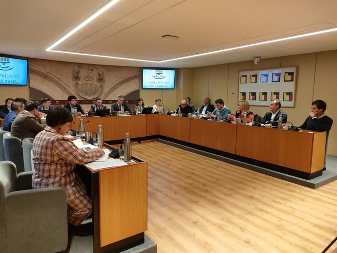 El consejero de Cultura, Turismo, Deporte y Juventud, José Luis Pérez Pastor, comparece en el Parlamento para detallar las cuentas de su departamento para 2025