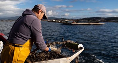 Pesca Galicia