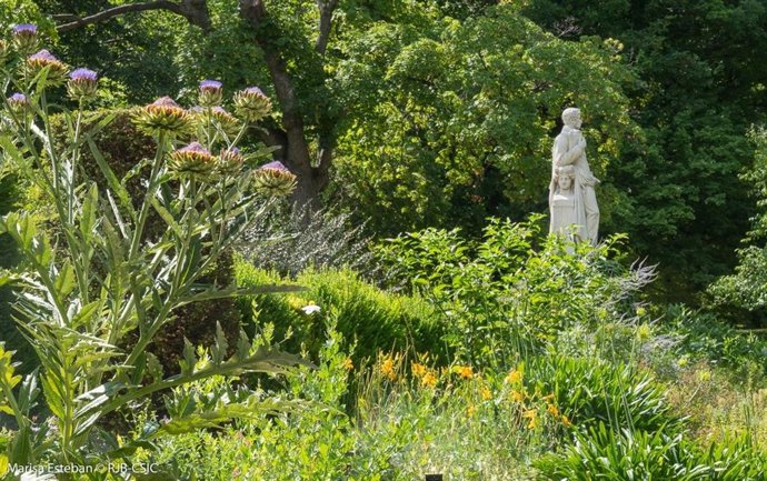 Real Jardín Botánico
