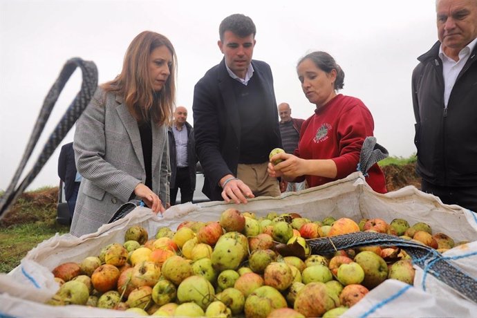 La conselleira do Medio Rural, María José Gómez, en A Estrada (Pontevedra).