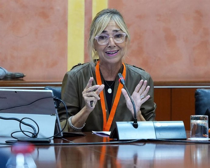 María Jesús Correa, abogada especialista en violencia de género, en su comparecencia en el grupo de trabajo en el Parlamento de Andalucía.