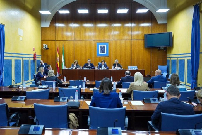 El consejero de Agricultura, Pesca, Agua y Desarrollo Rural, Ramón Fernández Pacheco, durante su intervención en la Comisión de Agricultura en el Parlamento.