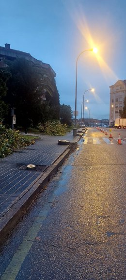 Árboles talados en el barrio de Teatinos.
