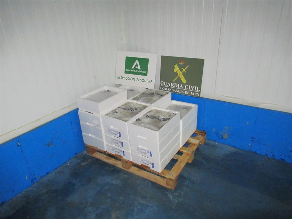 Productos pesqueros intervenidos.