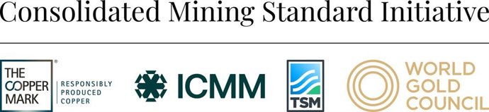 CMSI Logo