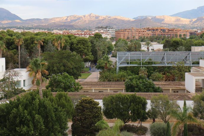 Campus de la UA a Sant Vicent del Raspeig, en una imatge d'arxiu.