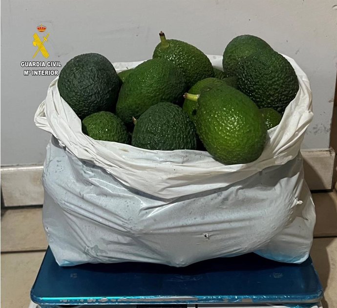 Bolsa con aguacates que fue intervenida por la Guardia Civil