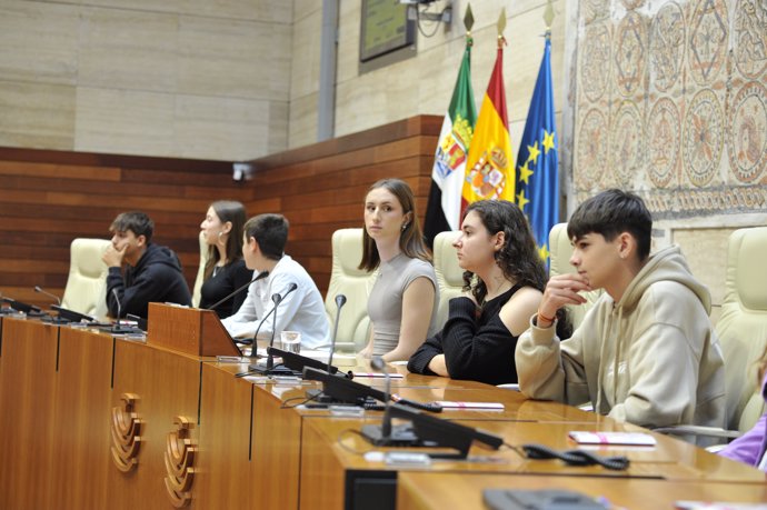 La Mesa del 8º Pleno contra el Buillyng por LGTBIfobia, presidida por una chica trans.