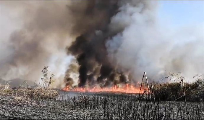 Incendio declarado en Sa Pobla.