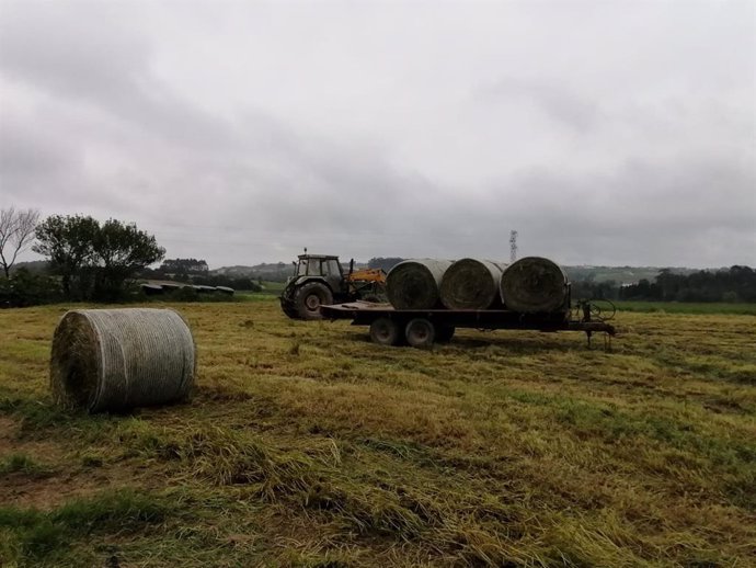 Archivo - Trabajos en el campo asturiano.