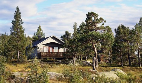 Comunicados Sociedad