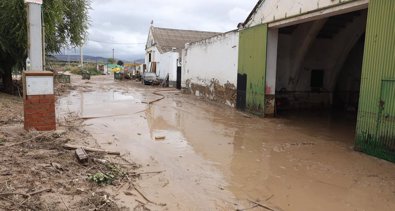 Cádiz al día