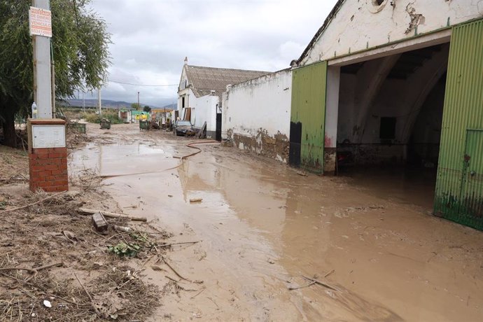 Daños ocasionados por las fuertes lluvias en Villamartín. A 16 de octubre de 2024, en Villamartín, Cádiz (Andalucía, España). 