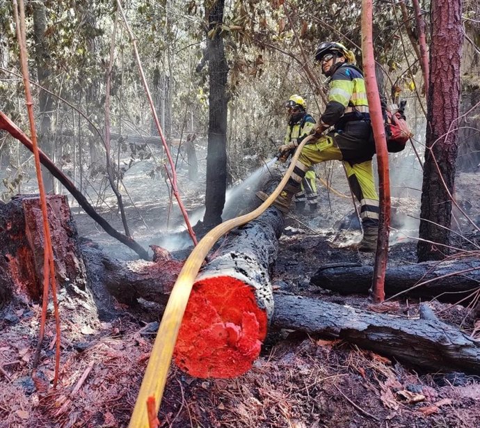 Archivo - Equipos de la EIRIF trabajan en las labores de extinción del incendio forestal que afecta a la isla de Tenerife desde el pasado 15 de agosto