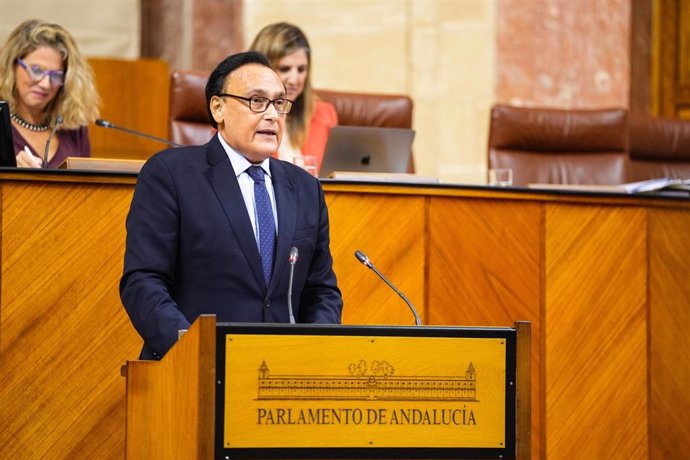 El consejero de Universidad, José Carlos Gómez Villamandos, este miércoles durante su comparecencia en el Pleno del Parlamento.