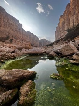 FIRST SAUDI PROTECTED AREA LISTSED ON IUCN GREEN LIST - IBEX PROTECTED AREA, JUST SOUTH OF RIYADH JOINS THE LIST WHICH SETS THE GLOBAL STANDARD FOR PROTECTED AND CONSERVED AREAS.