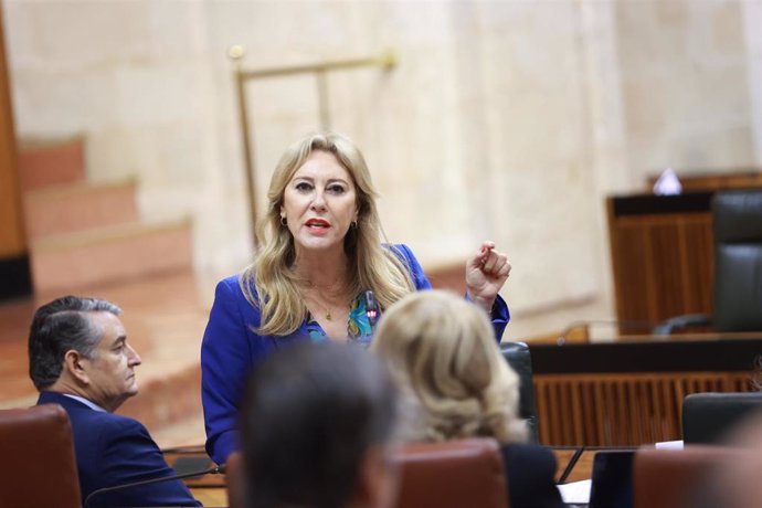 La consejera de Economía y portavoz del Gobierno, Carolina España, este jueves en el Pleno del Parlamento.