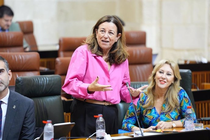 La consejera de Desarrollo Educativo y Formación Profesional de la Junta, Carmen Castillo, en el pleno del Parlamento del 17 de octubre de 2024.