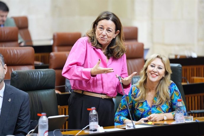 La consejera de Desarrollo Educativo y Formación Profesional de la Junta, Carmen Castillo, en el pleno del Parlamento del 17 de octubre de 2024.