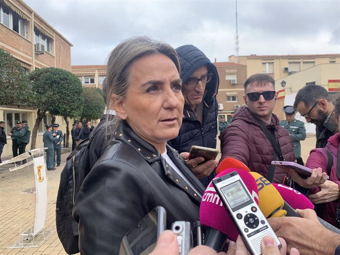 La delegada del Gobierno en Castilla-La Mancha, Milagros Tolón