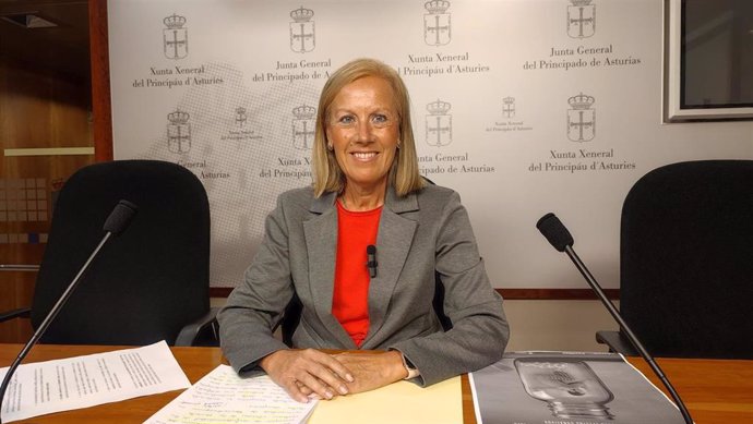 La diputada del PP en la Junta General del Principado de Asturias, Pilar Fernández Pardo, en rueda de prensa.