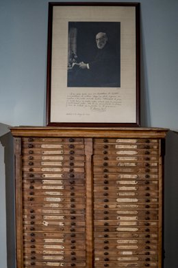 Archivo - Un cuadro del científico Ramón y Cajal durante la inauguración de la exposición ‘El Legado Histórico de Santiago Ramón y Cajal’, en el Museo Nacional de Ciencias Naturales, a 4 de julio de 2023, en Madrid (España). La exposición incluye original