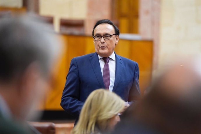 El consejero de Universidad de la Junta de Andalucía, José Carlos Gómez Villamandos, en el pleno del Parlamento de Andalucía del 17 de octubre de 2024.