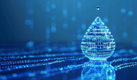 Comunicados Sociedad