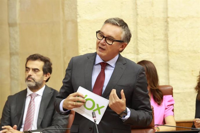 El portavoz del Grupo Parlamentario Vox, Manuel Gavira, durante su intervención en la Sesión de Control al Gobierno con preguntas al presidente de la Junta de Andalucía. A 17 de octubre de 2024, en Sevilla (Andalucía, España).Segunda jornada de Pleno, con