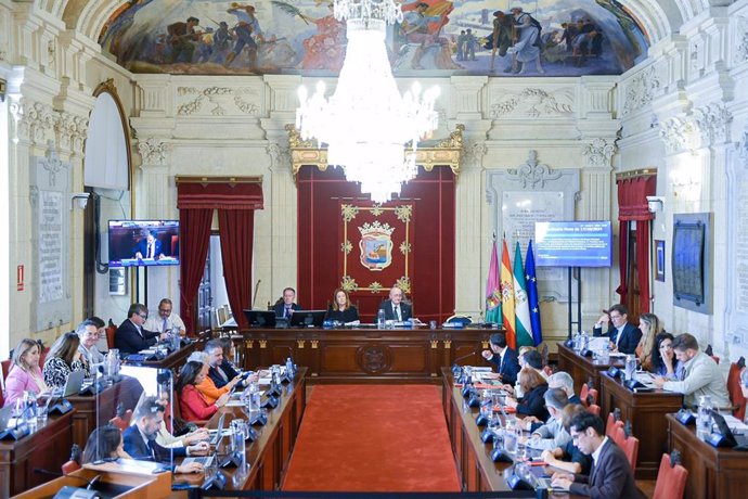 Archivo - Pleno extraordinario sobre sanidad en el Ayuntamiento de Málaga.